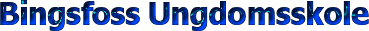 Bingsfoss u-skole