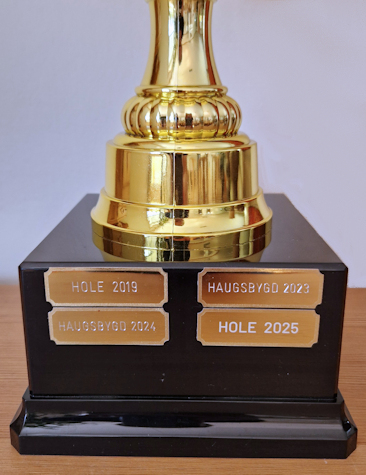 Hønefoss Ultimate Cup